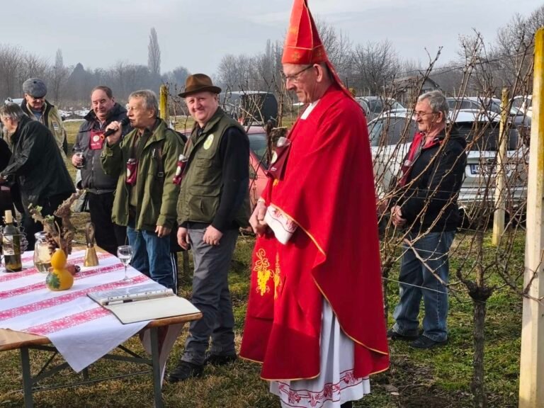 viber_image_2026-01-26_12-41-23-730